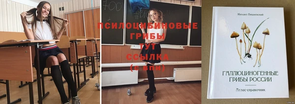 крисы Абдулино