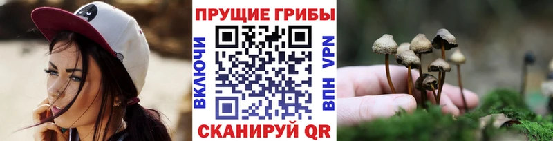 Галлюциногенные грибы мицелий  магазин продажи наркотиков  Трубчевск 